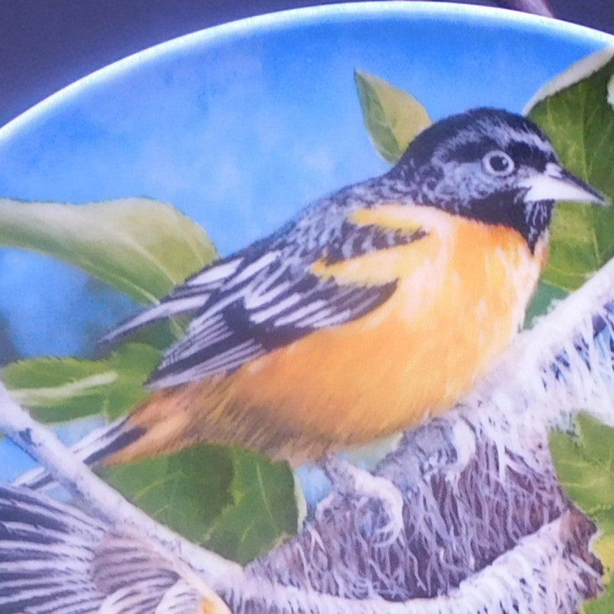 Vintage 'The Baltimore Oriole' Collectible Plate - Kevin Daniel Design - Beautiful Bird Art - Encyclopedia Britannica Series - Edwin Knowles Fine China Co - Perfect Gift -FREE SHIPPING!! (7065)