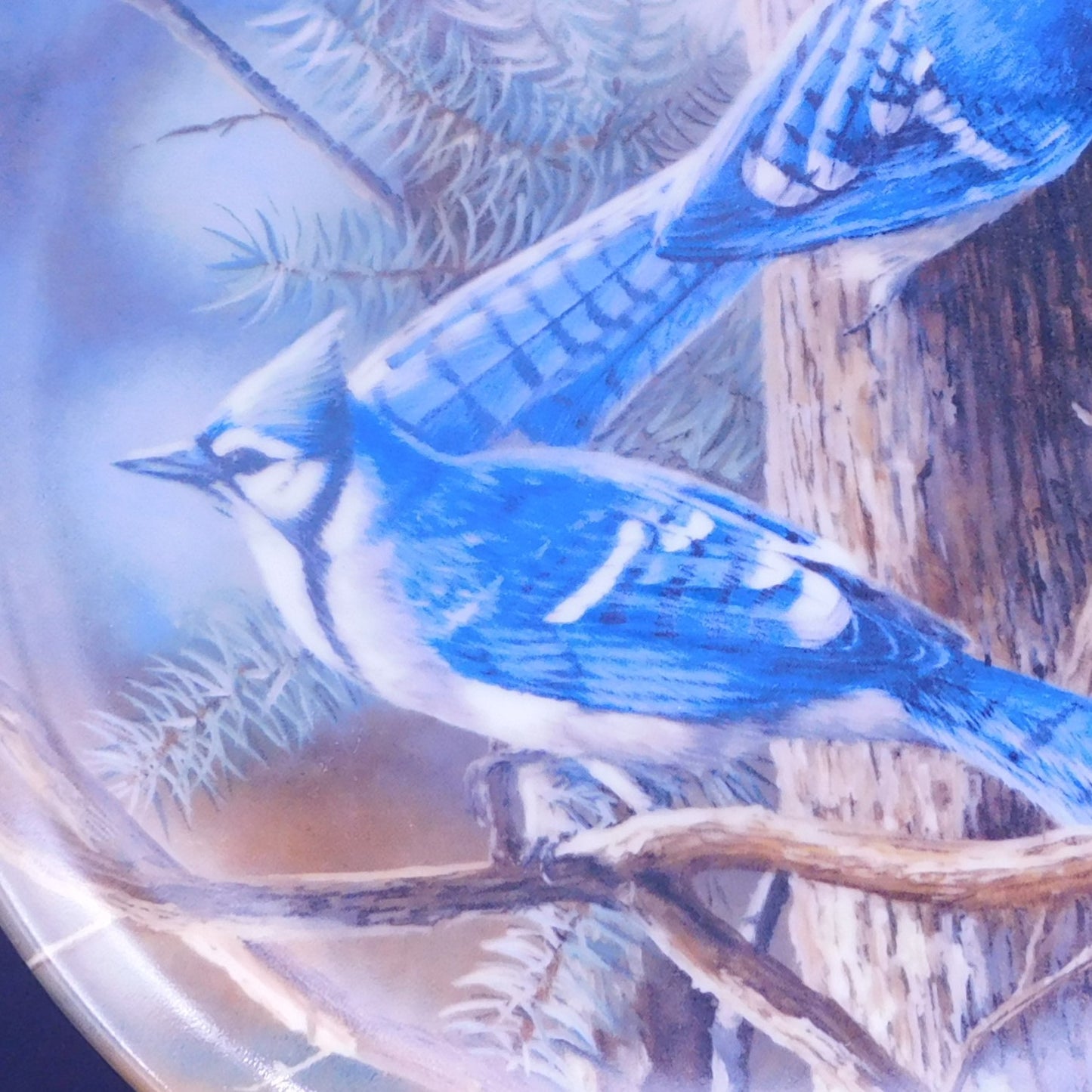 Vintage Edwin Knowles Fine China Co 'The Blue Jay' Collectible Plate - Artist Kevin Daniel -FREE SHIPPING (7066)