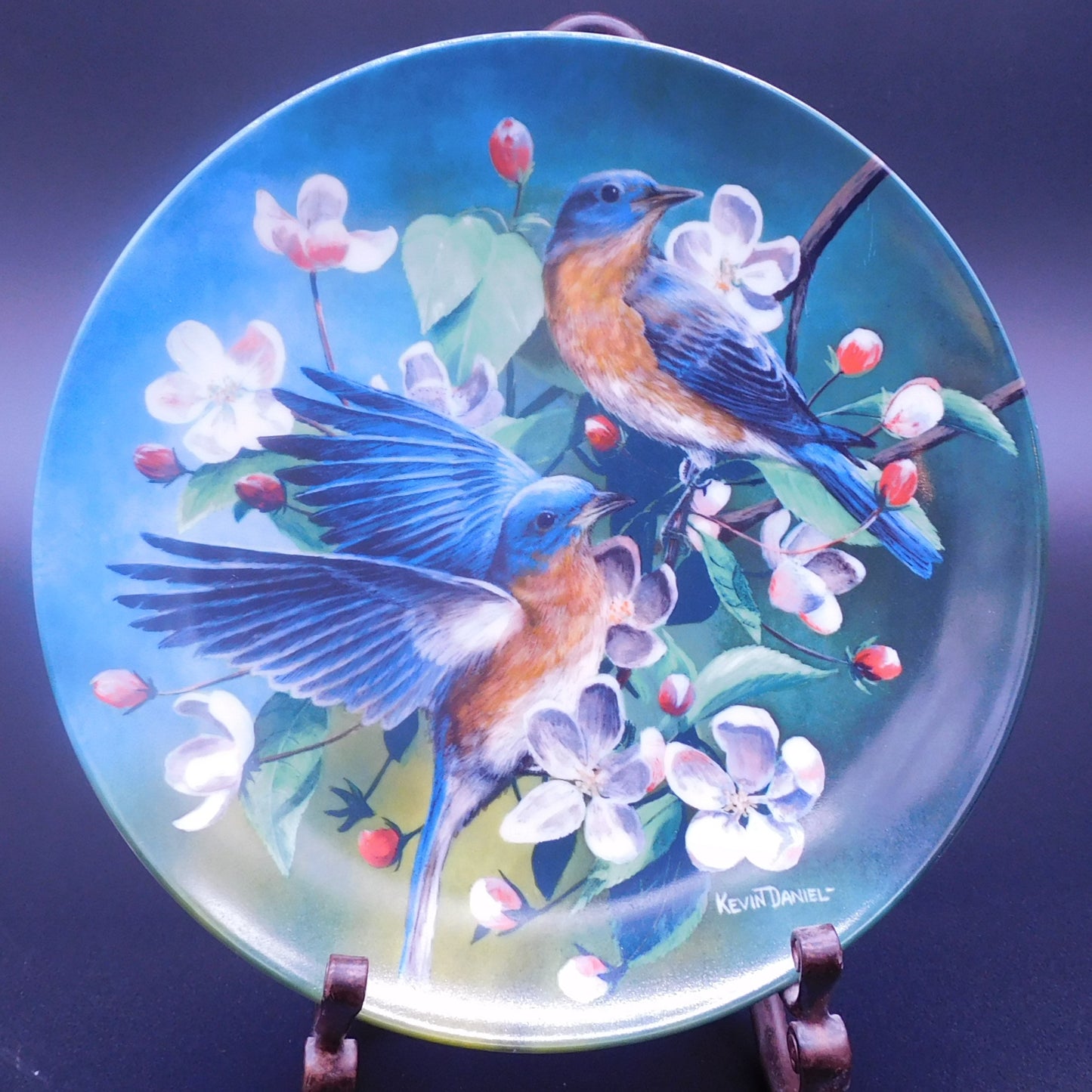 Collectible 1986 Knowles Plate The Bluebird - Stunning Bird Art by Kevin Daniel, 8.5x3/4 Inch Free Shipping (7068)