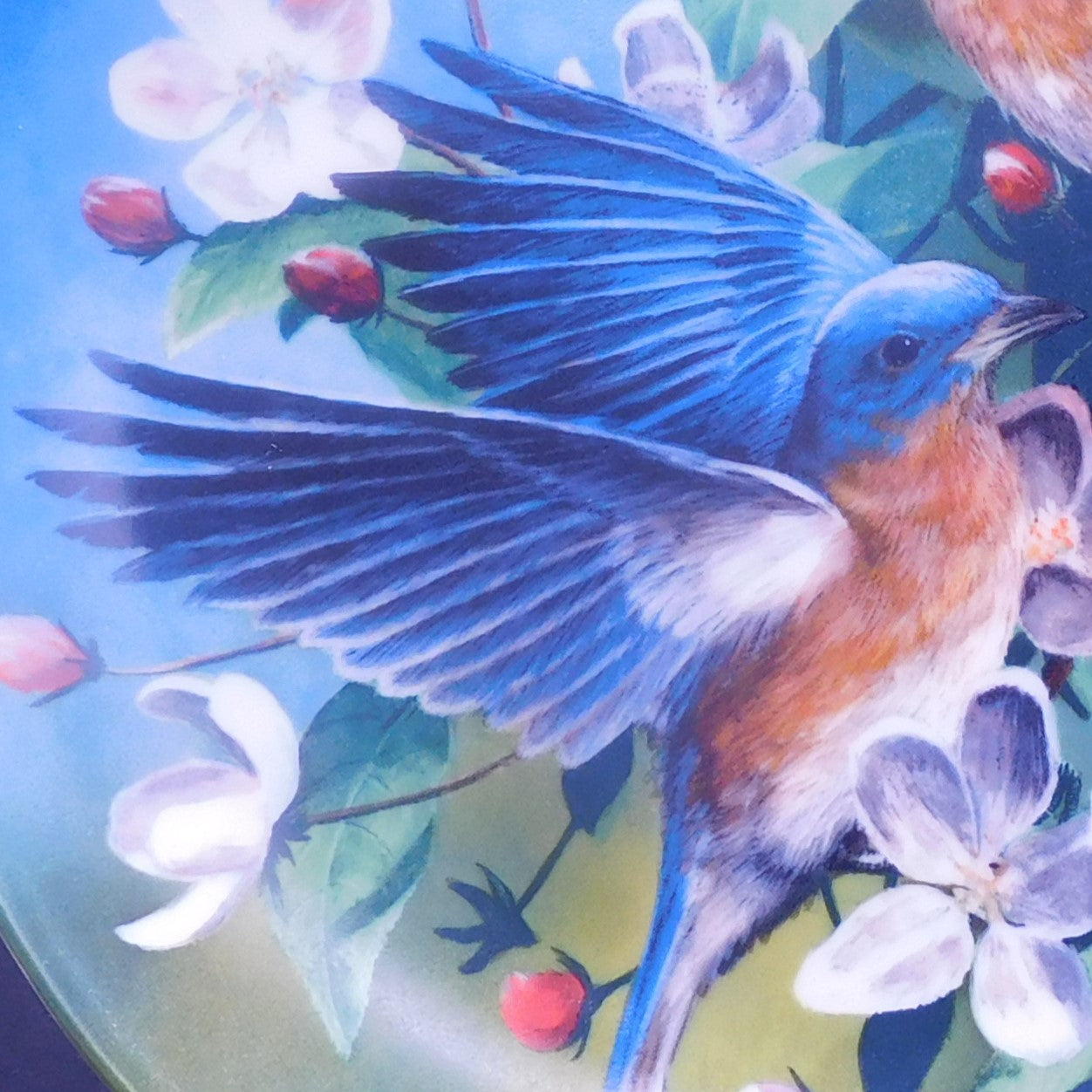 Collectible 1986 Knowles Plate The Bluebird - Stunning Bird Art by Kevin Daniel, 8.5x3/4 Inch Free Shipping (7068)