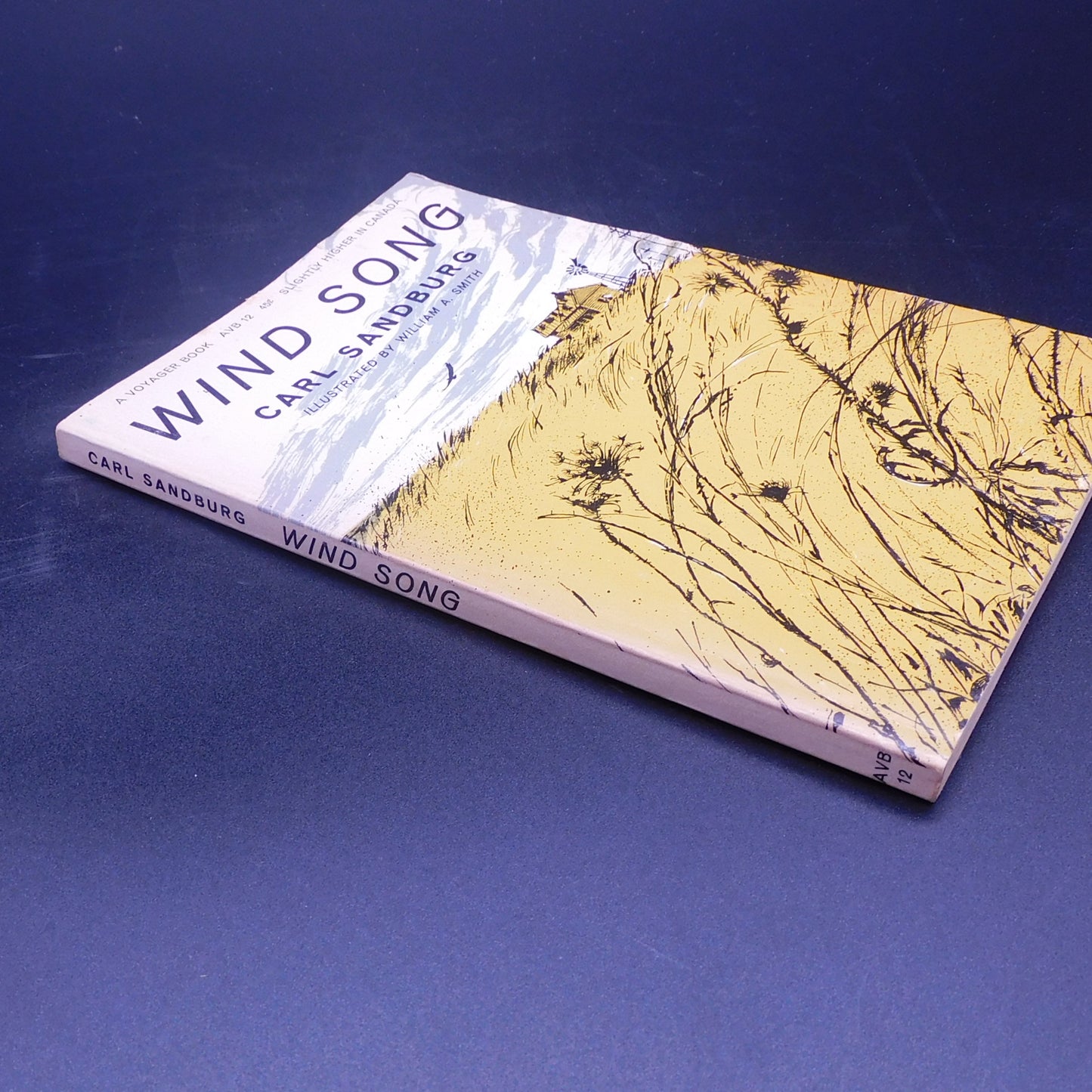 Vintage 1960 The Wind Song by Carl Sandburg - Collection of Poems in Good Condition (7092) FREE SHIPPING!