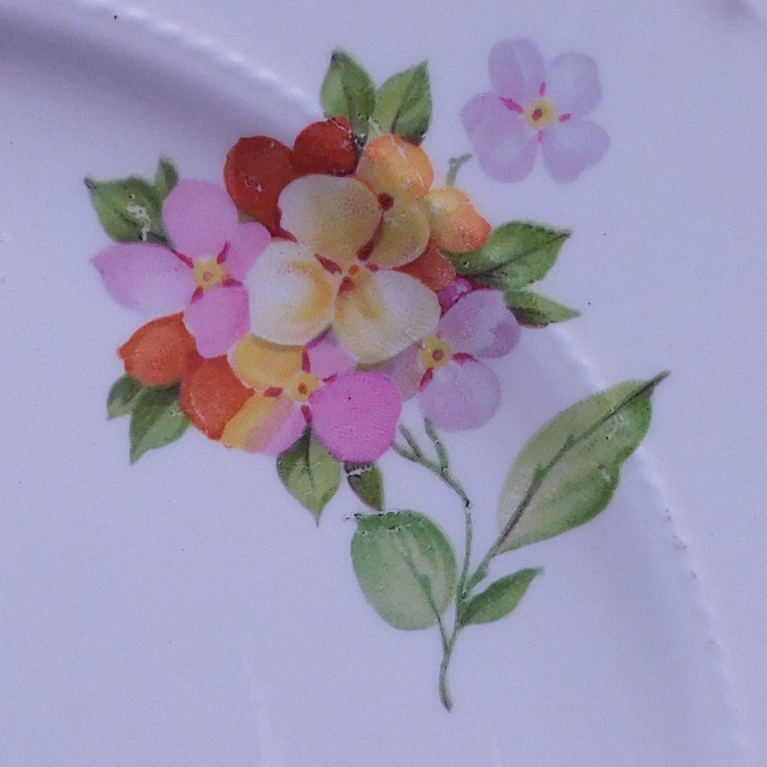 Grace Your Table with Vintage Charm: The Exquisite Jumping Jack Flower Plate by Crooksville China Co. (7174)