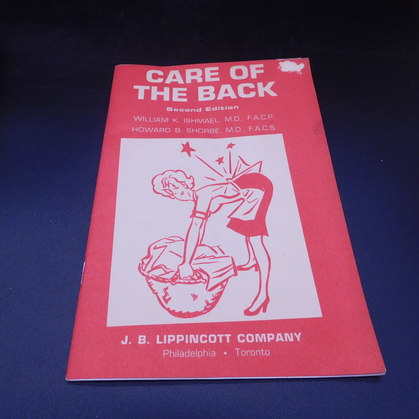 Care Of The Back 2nd Edition (WN18)